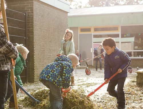 Najaarskinderen… wel of niet door naar groep 3?